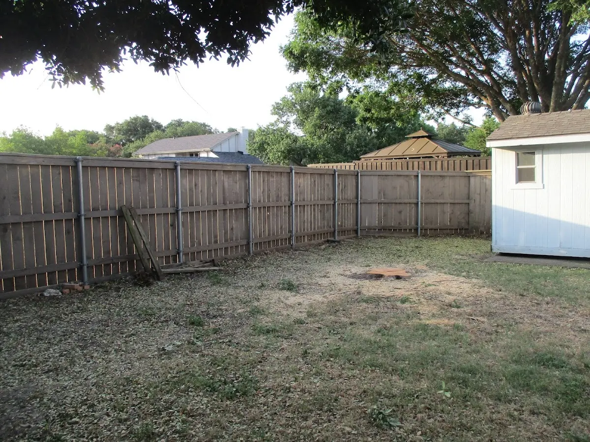 Cleared yard after professional tree removal in Columbia City