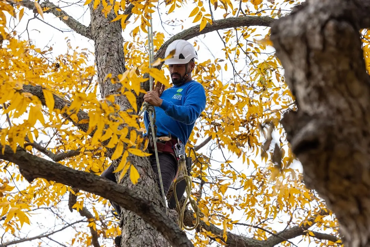 Skilled Storm Damage Cleanup crew working in Columbia City
