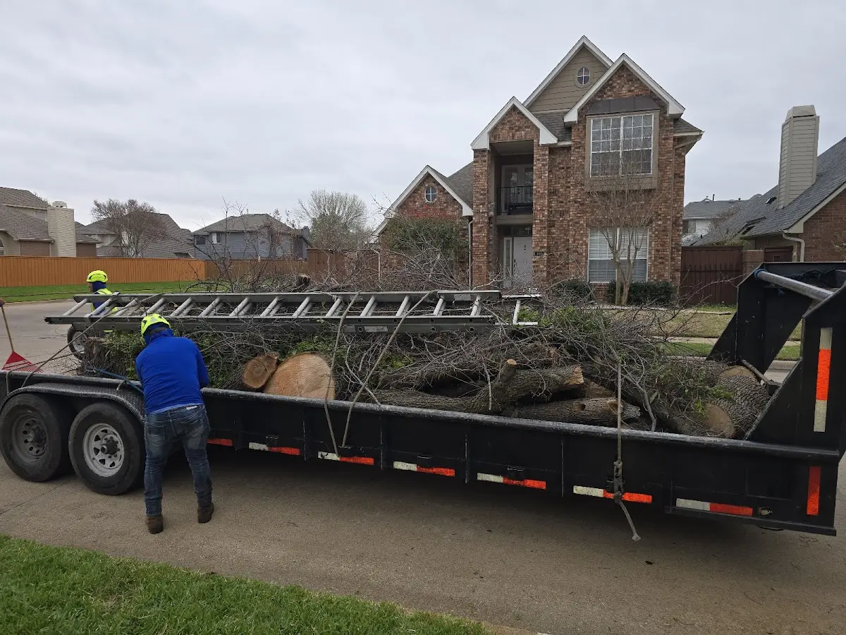 Expert Tree Removal with proper safety equipment in Columbia City